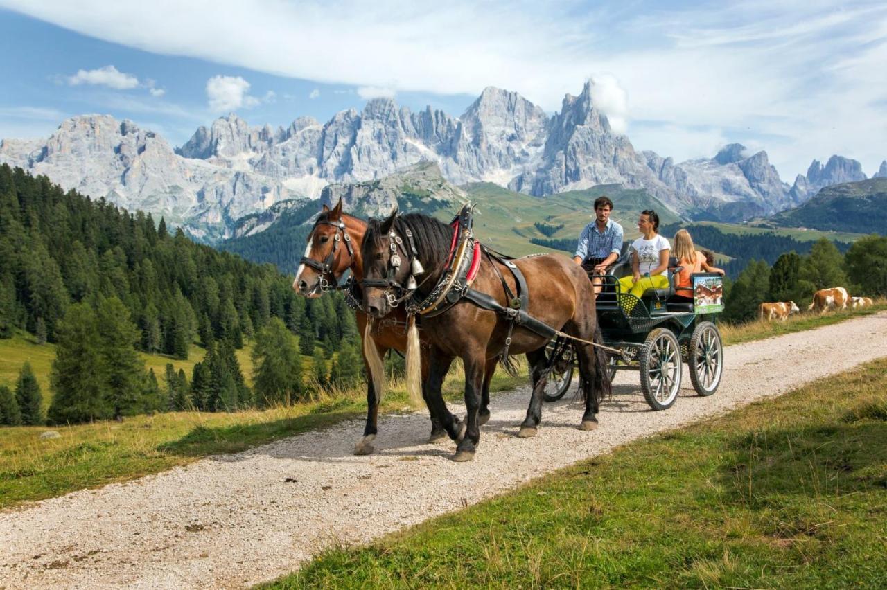 Hotel Italia Castello-Molina di Fiemme Εξωτερικό φωτογραφία